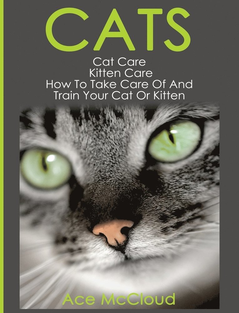 Cats 1