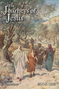 bokomslag Journeys of Jesus