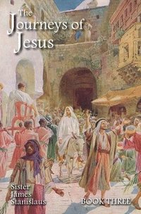 bokomslag Journeys of Jesus Book Three