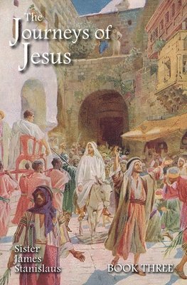 bokomslag Journeys of Jesus Book Three