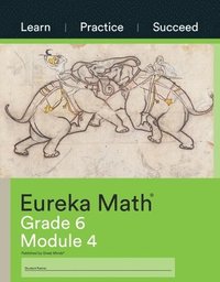 bokomslag Eureka Math Grade 6 Learn, Practice, Succeed Workbook #4 (Module 4)