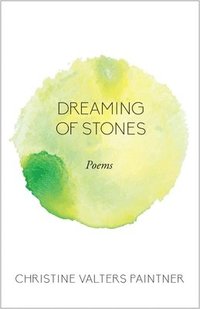 bokomslag Dreaming of Stones
