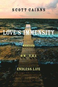 bokomslag Love's Immensity