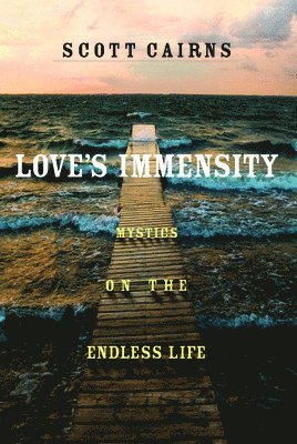 bokomslag Love's Immensity