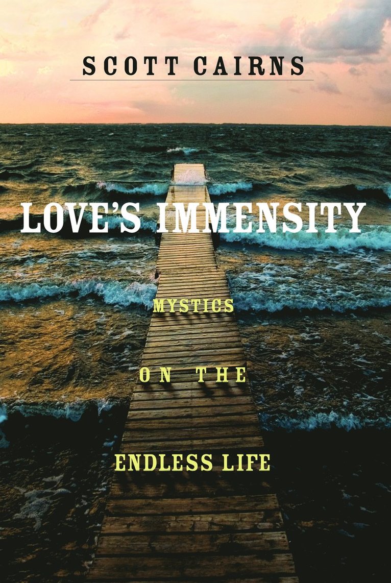 Love's Immensity
