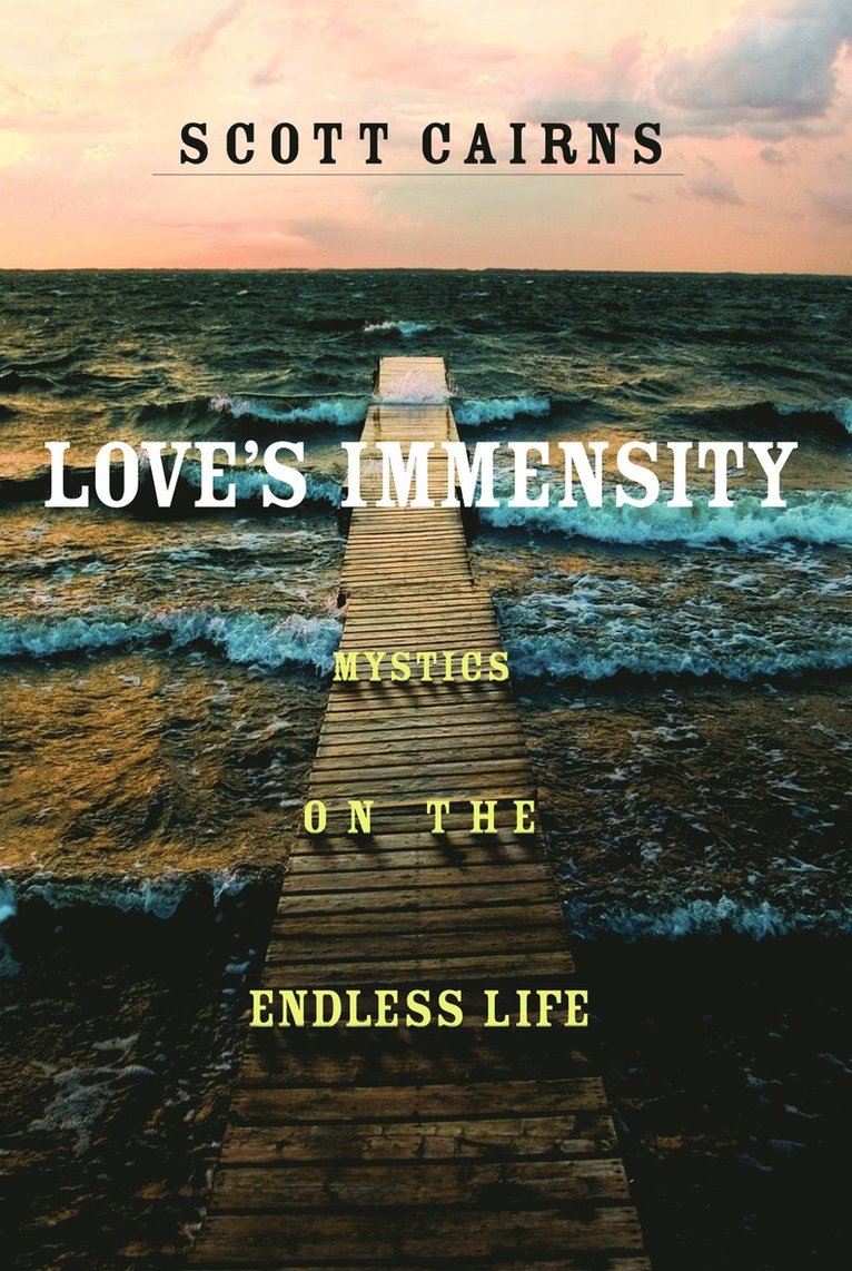 Love's Immensity 1