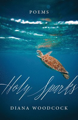 Holy Sparks 1