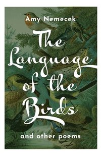 bokomslag The Language of the Birds