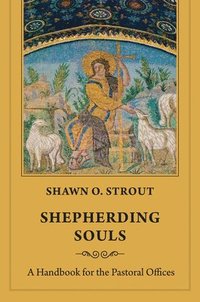 bokomslag Shepherding Souls