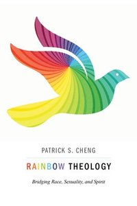 bokomslag Rainbow Theology