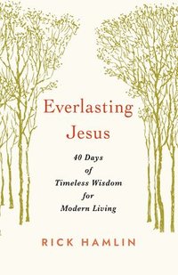 bokomslag Everlasting Jesus
