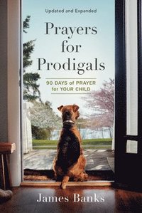 bokomslag Prayers for Prodigals: 90 Days of Prayer for Your Child (a Daily Devotional for Parents with Bible Readings and Meditations for Moms and Dads