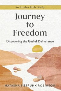 bokomslag Journey to Freedom
