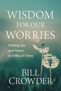 bokomslag Wisdom for Our Worries