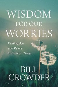 bokomslag Wisdom for Our Worries: Finding Joy and Peace in Difficult Times