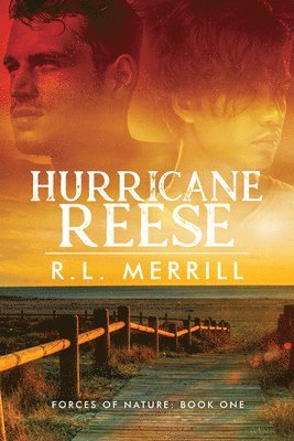 Hurricane Reese Volume 1 1