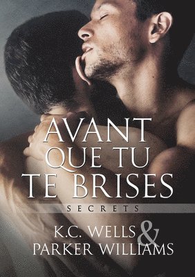 Avant Que Tu Te Brises (Translation) 1