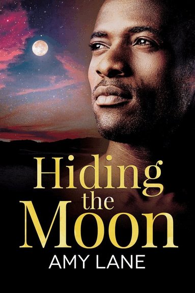 Amy Lane - Hiding the Moon, Häftad