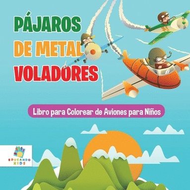bokomslag Pájaros de Metal Voladores