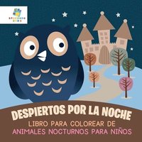 bokomslag Despiertos por la Noche