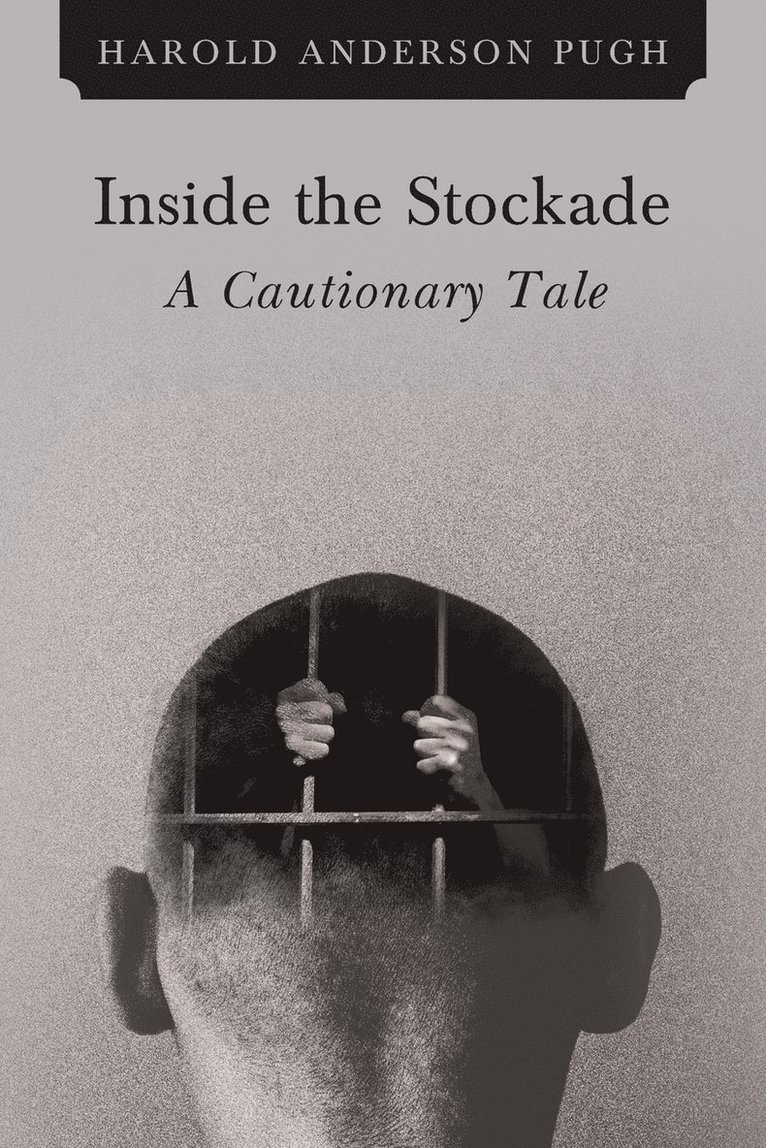 Inside the Stockade a Cautionary Tale 1