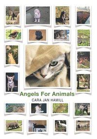 bokomslag Angels for Animals