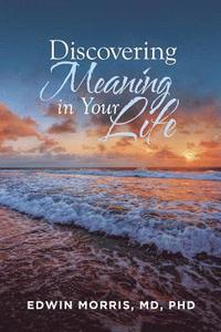 bokomslag Discovering Meaning in Your Life
