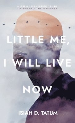 bokomslag Little Me, I Will Live Now: A Journey From Identity Crisis to Waking the Dreamer