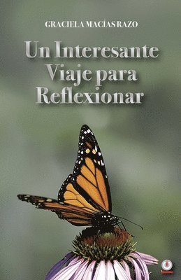 bokomslag interesante viaje para reflexionar