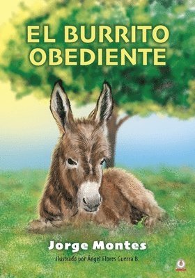 bokomslag burrito obediente