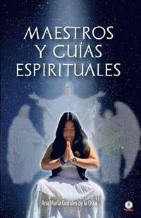 bokomslag Maestros y guas espirituales