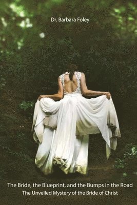 Barbara Foley - Bride, the Blueprint, and the Bumps in the Road, Häftad