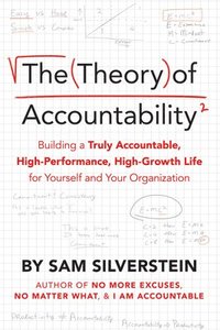bokomslag The Theory of Accountability