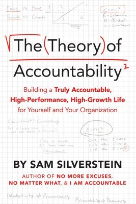 bokomslag The Theory of Accountability