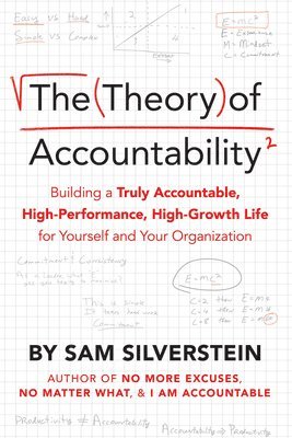 bokomslag Theory Of Accountability