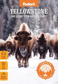 bokomslag Fodor's Compass American Guides: Yellowstone and Grand Teton National Parks