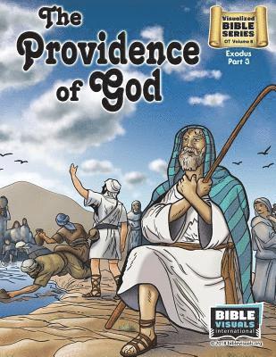 Arlene Piepgrass, Bible Visuals International - The Providence of God: Old Testament Volume 8: Exodus Part 3, Häftad