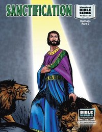 bokomslag Sanctification: New Testament Volume 21: Romans Part 3