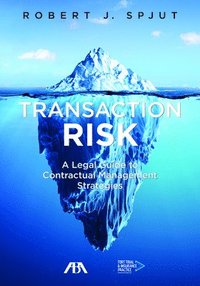 bokomslag Transaction Risk