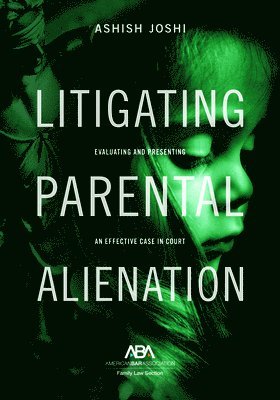 bokomslag Litigating Parental Alienation