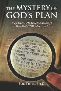 bokomslag The MYSTERY OF GOD's PLAN: Why Did GOD Create Anything? Why Did GOD Make You?