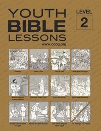 bokomslag Youth Bible Lessons Level 2