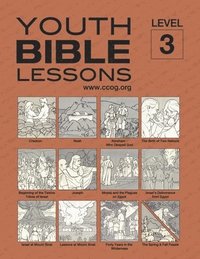 bokomslag Youth Bible Lessons Level 3