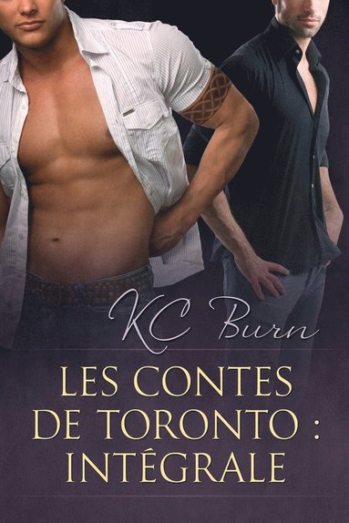 bokomslag Les contes de Toronto : Integrale