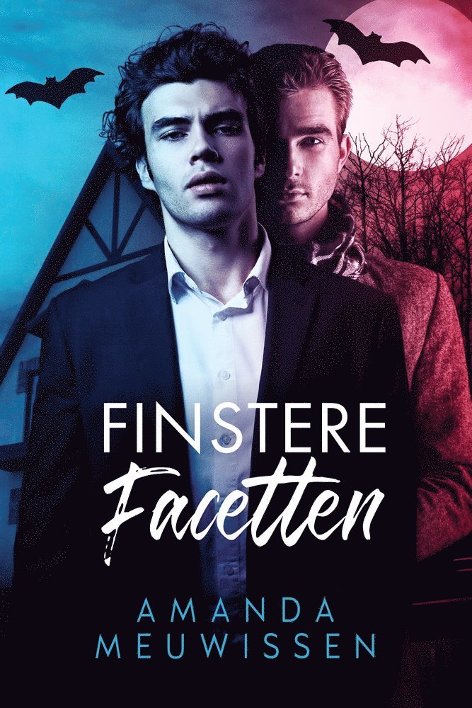 Finstere Facetten 1