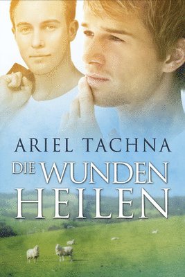 Die Wunden heilen Volume 5