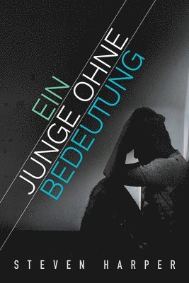 Steven Harper, Niklas Wagner - Ein Junge ohne Bedeutung, Häftad