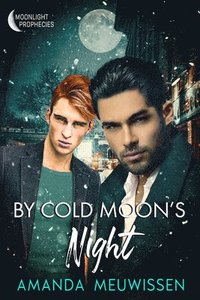 bokomslag By Cold Moon's Night