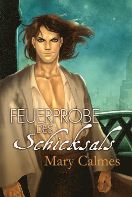 bokomslag Feuerprobe Des Schicksals: Volume 4