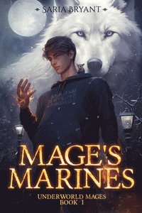 bokomslag Mage's Marines: Volume 1